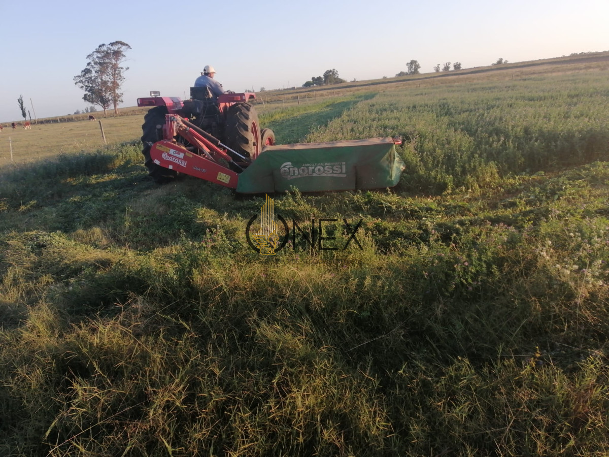 Chacra ID.3130 - Oportunidad venta de Chacra con casa tajamar árboles  galpón en Canelones 