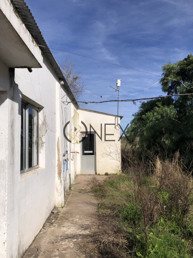 Chacra ID.3144 - Se vende chacra de 2 hectáreas sobre Ruta 15 , Rocha. 
