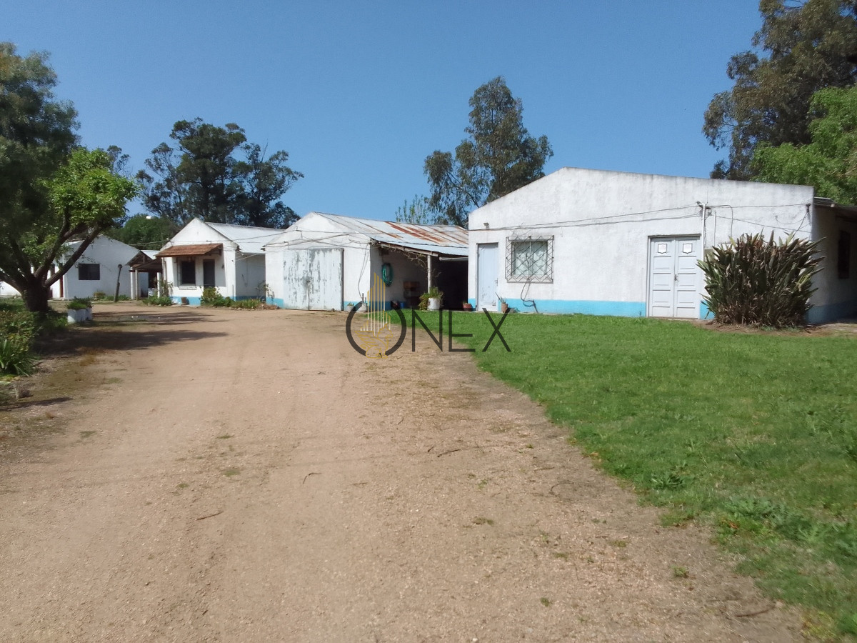 Chacra ID.1331 - Onex Alquila Chacra de 4 hectáreas