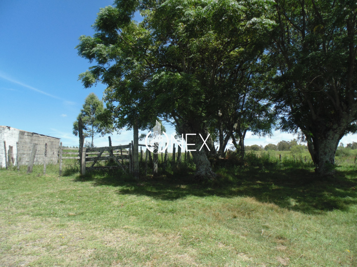 Chacra ID.4174 - Chacra en venta en Caraguatá