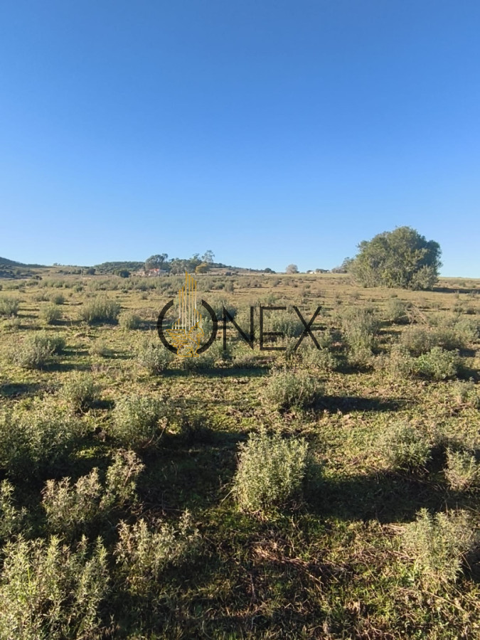 Chacra ID.3724 - Venta de Chacra 6 Ha con casa comoda