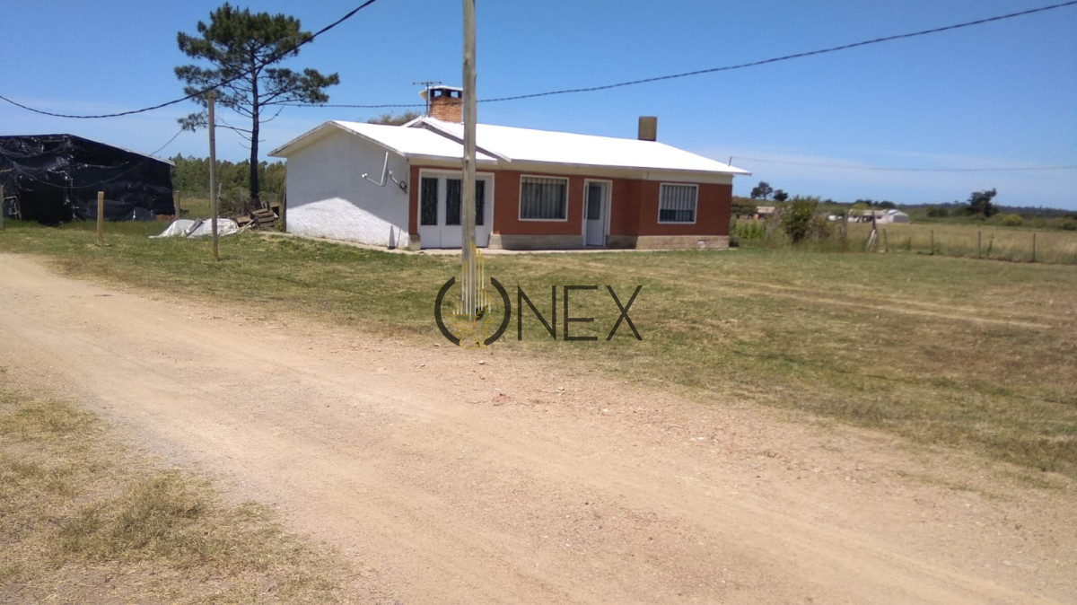Chacra ID.2125 - Chacra 5 hectareas