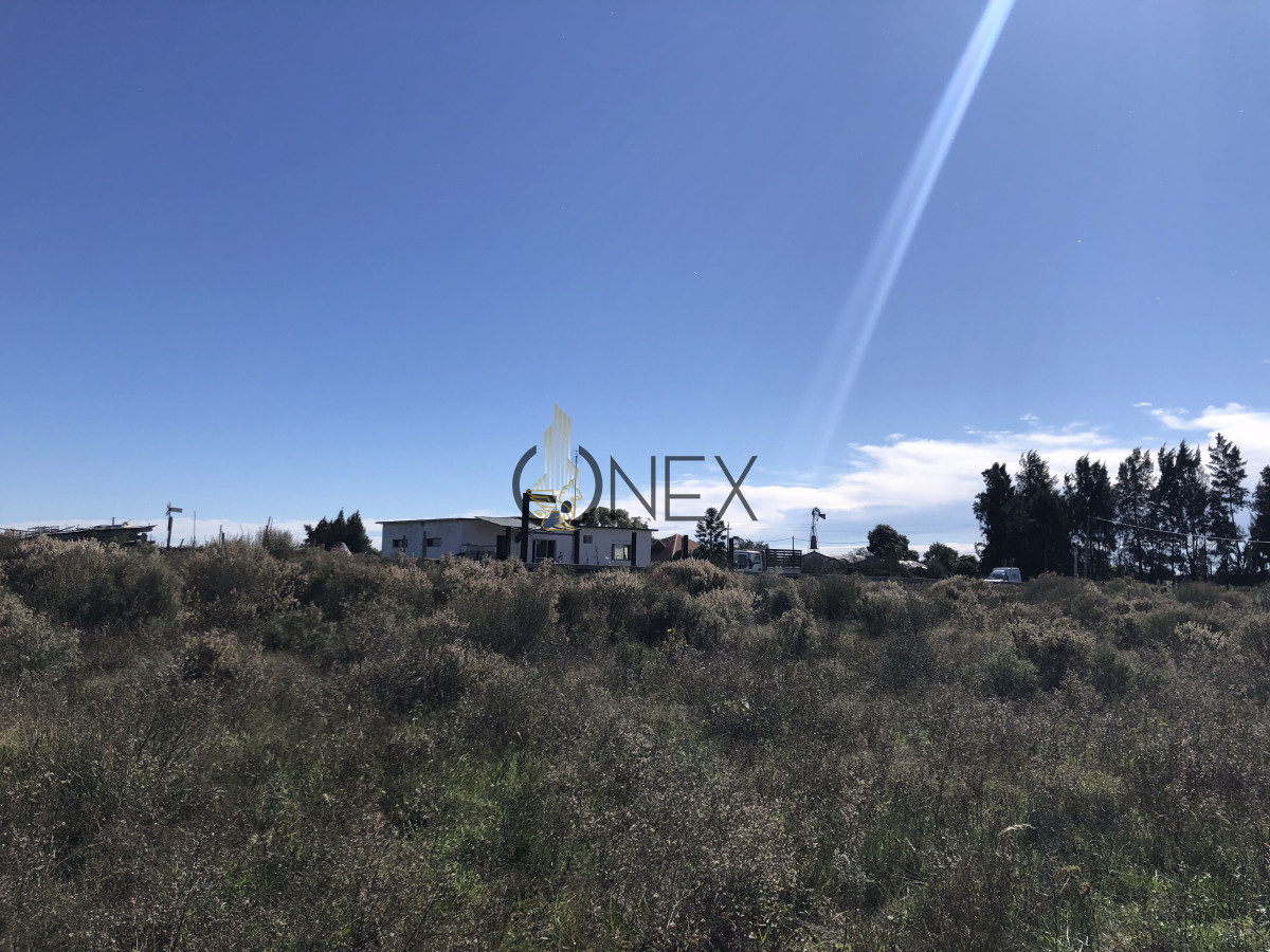 Chacra ID.2140 -  Se vende Chacra de 4ha más casa, sobre ruta 107. Canelón Chico.