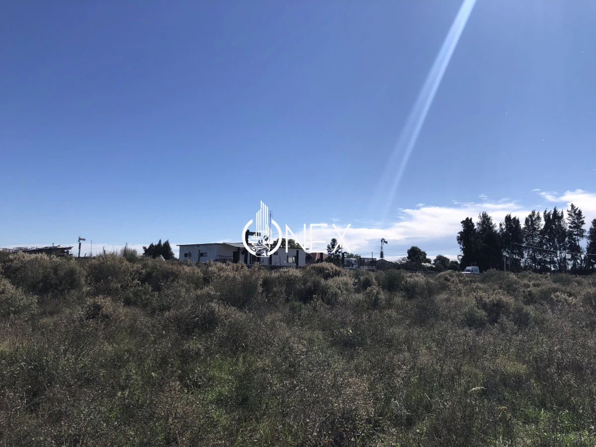 Chacra ID.2140 -  Se vende Chacra de 4ha más casa, sobre ruta 107. Canelón Chico.