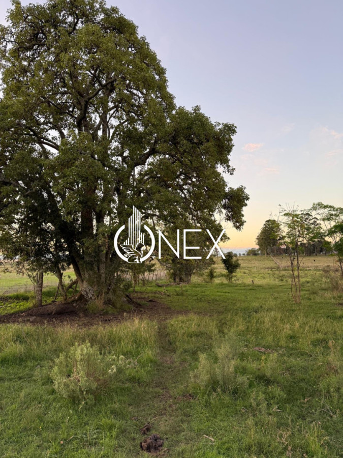 Chacra ID.4497 - Se vende chacra en Sarandí de la china en Durazno 