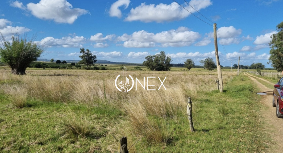 Chacra ID.4193 - Se vende Chacra en 19 de Abril , Rocha 