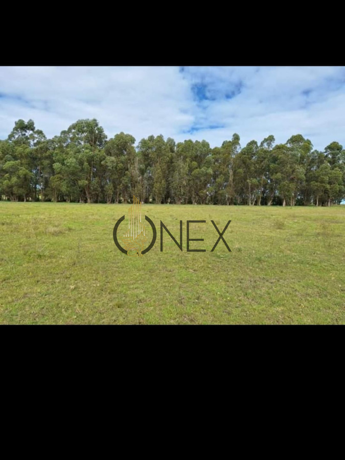 Chacra ID.2493 - Venta de Chacra de 8 Ha con casa 