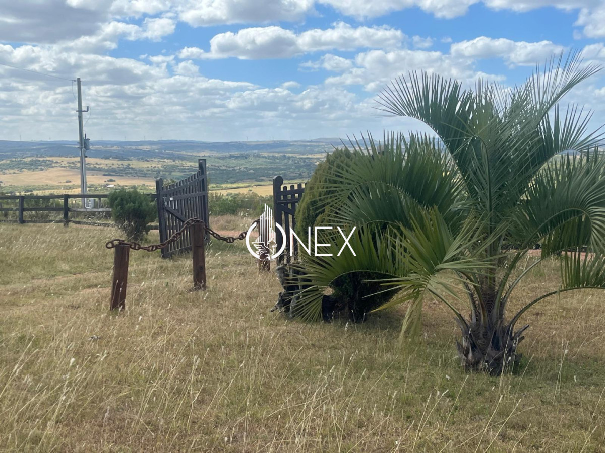 Chacra ID.4641 - Venta chacra de 5 hectáreas con casa de 2 dormitorios en Las Cañas.