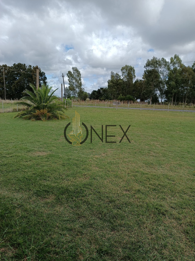 Chacra ID.2125 - Chacra 5 hectareas