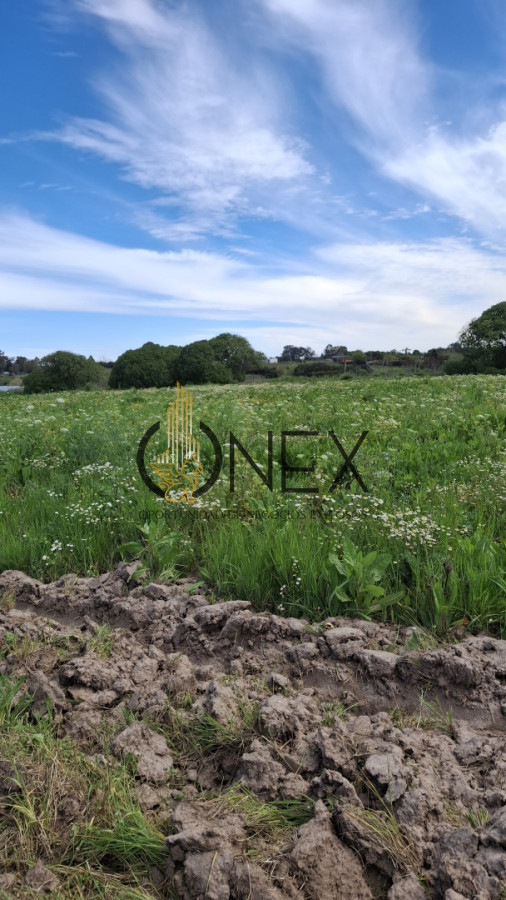 Chacra ID.3385 - Venta chacra 4 hás y ½ entre R 102 y 101