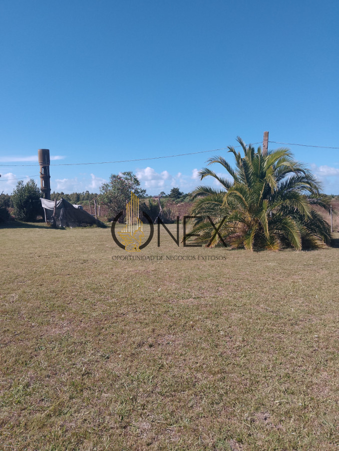 Chacra ID.4267 - ONEX VENDE CHACRA DE 5 HEC  INDICE CANEAT 138