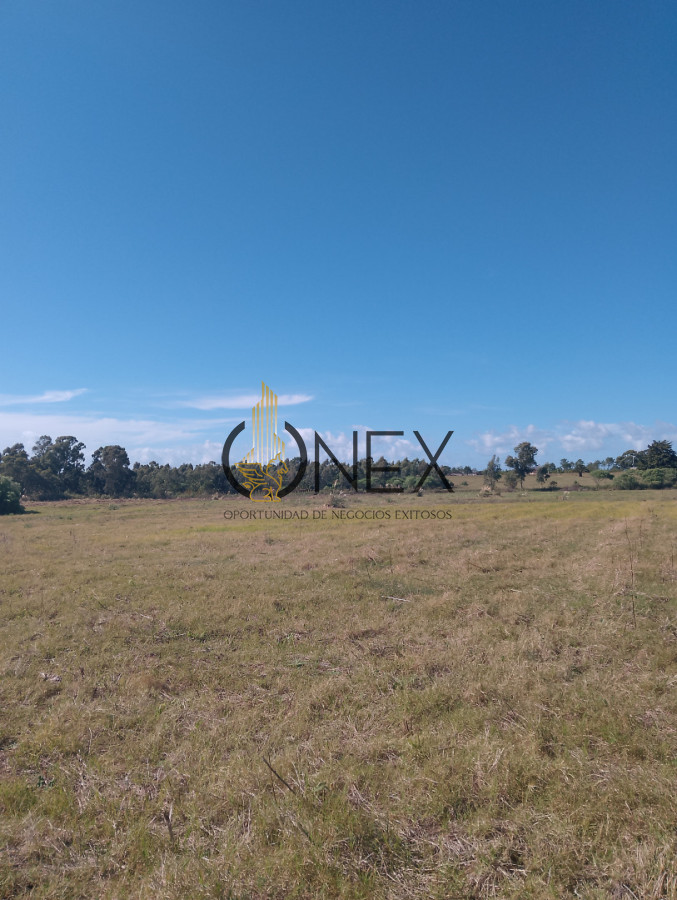 Chacra ID.4267 - ONEX VENDE CHACRA DE 5 HEC  INDICE CANEAT 138