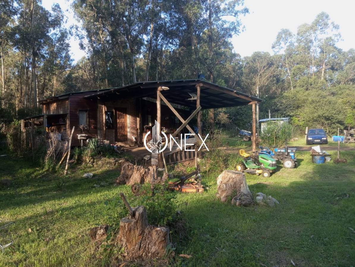 Chacra ID.4832 - Se vende Chacra en los Titanes
