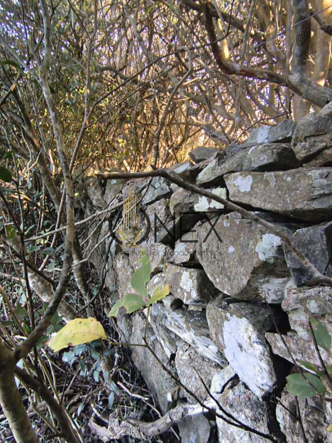 Chacra ID.3724 - Venta de Chacra 6 Ha con casa comoda