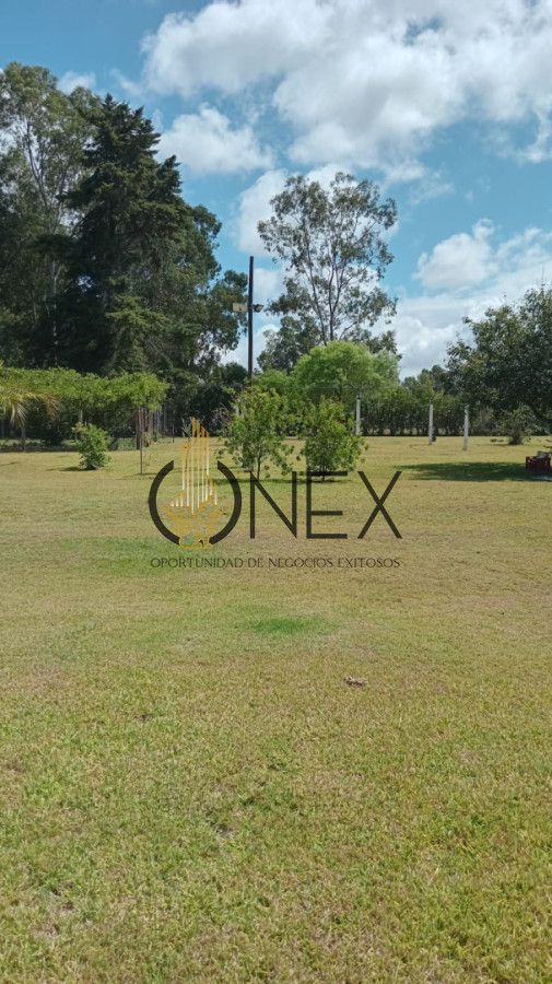 Chacra ID.4256 - Excelente Chacra 5 has. - Naturaleza, confort y privacidad 