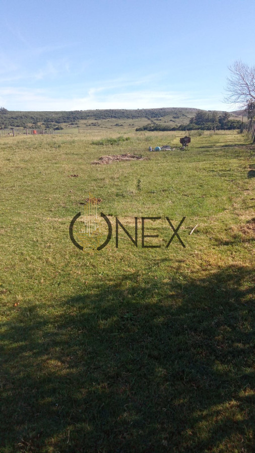 Chacra ID.2687 - Venta de Chacra 5Ha en Abra Perdomo