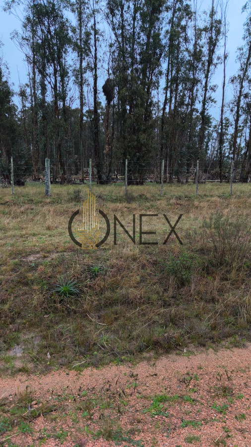 Chacra ID.3080 - Venta Chacra 3 Ha Corte de la Leña con casa 