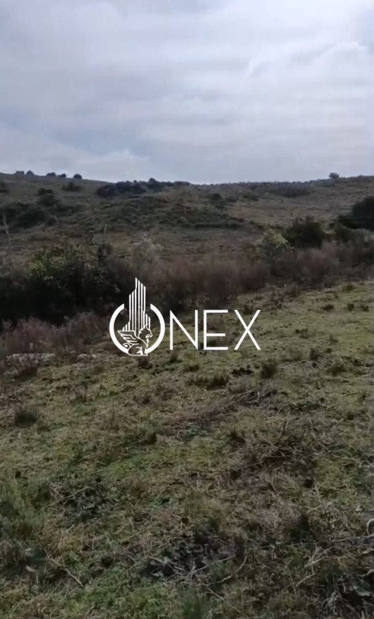 Chacra ID.4550 - SE VENDE CHACRA DE 5 HA EN LAVALLEJA