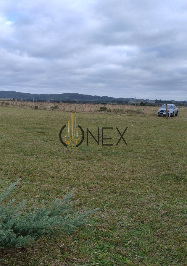 Chacra ID.2924 - 