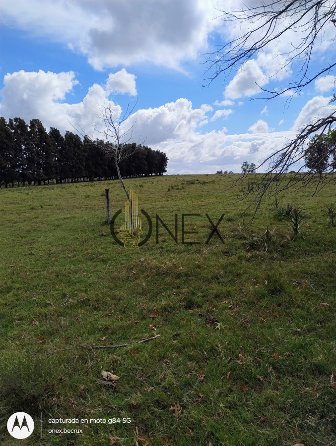 Chacra ID.790 - Venta de Chacra 7 hectáreas con casa en Maldonado