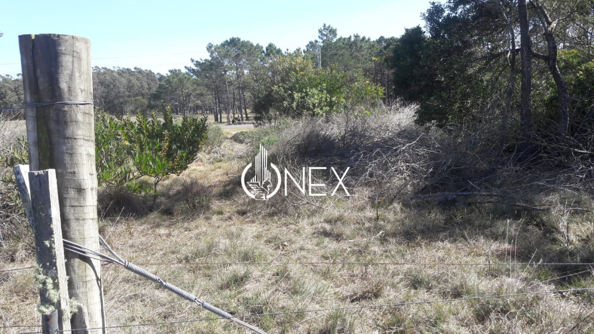 Chacra ID.4552 - Se vende Chacra en Oceanía del Polonio, Rocha. 