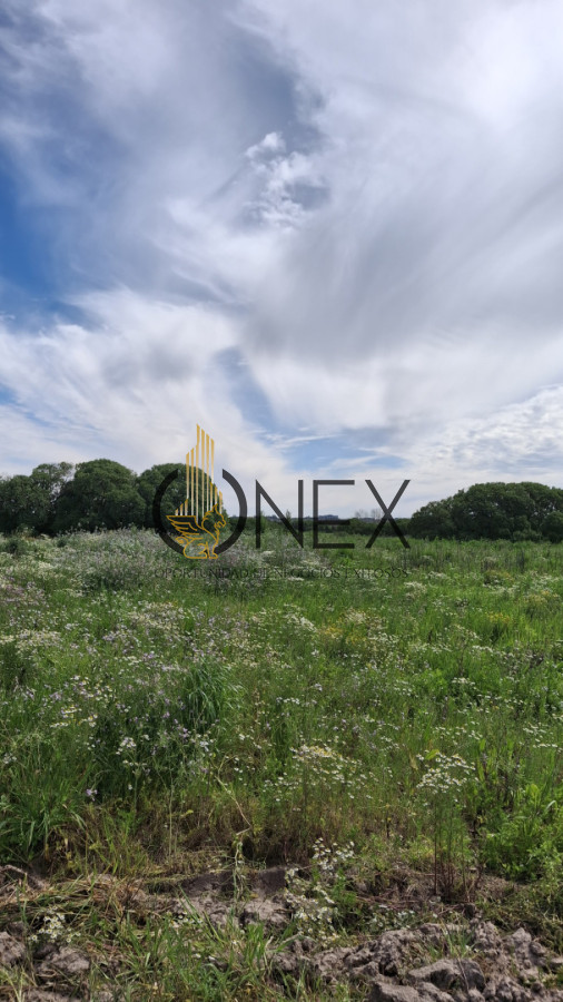 Chacra ID.3385 - Venta chacra 4 hás y ½ entre R 102 y 101