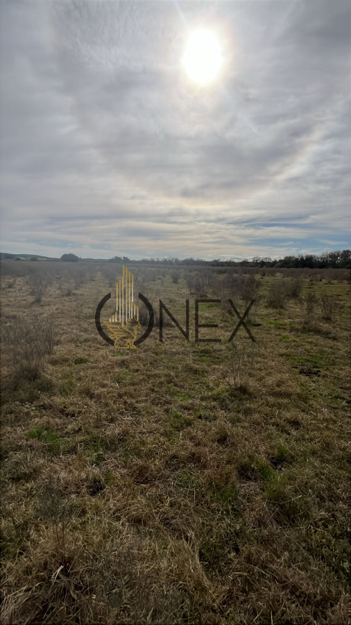 Chacra ID.2923 - 