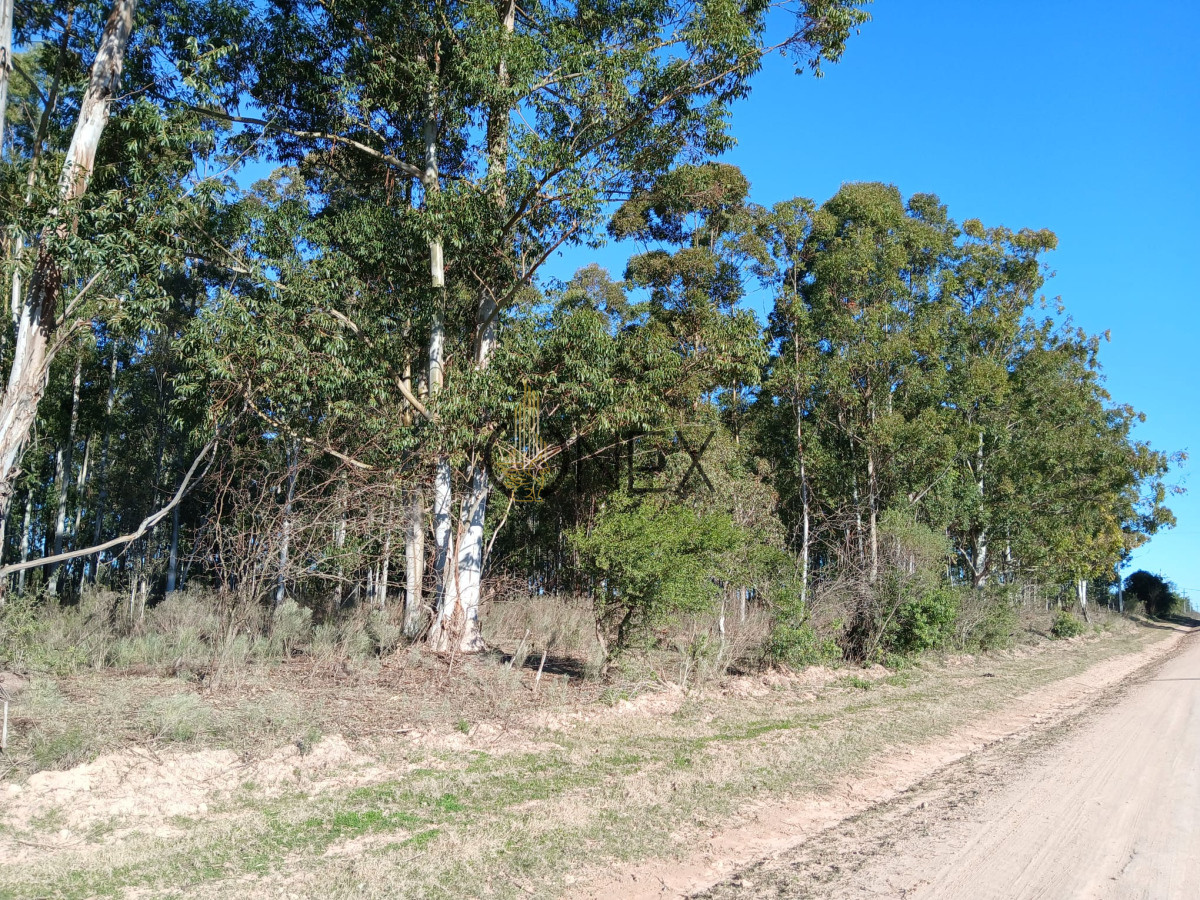 Chacra ID.2978 - Hectarea zona Guerrero Paysandu