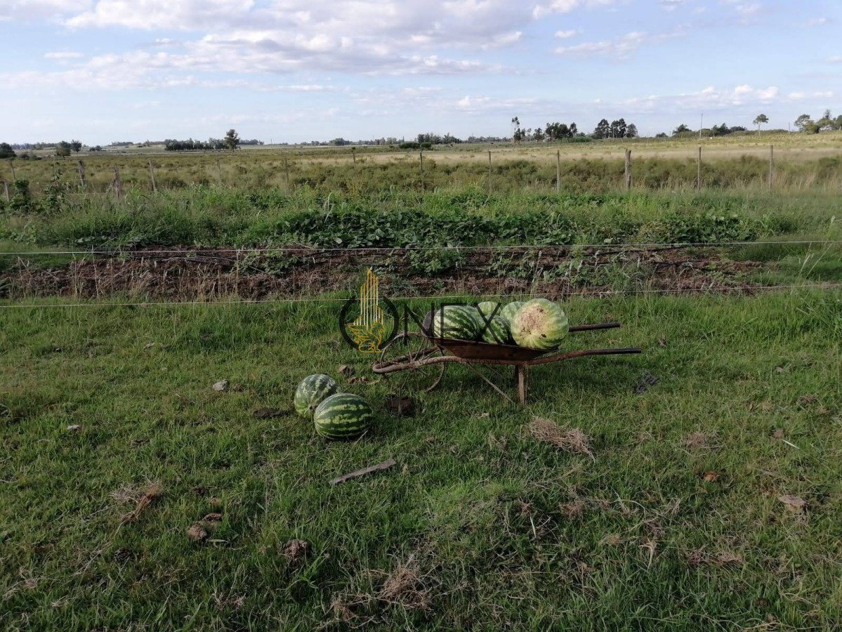 Chacra ID.3130 - Oportunidad venta de Chacra con casa tajamar árboles  galpón en Canelones 