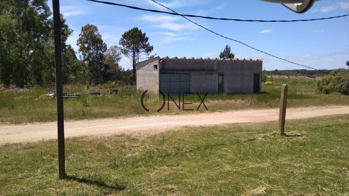 Chacra ID.2126 - Campo 3 ha y 1/2 con galpon