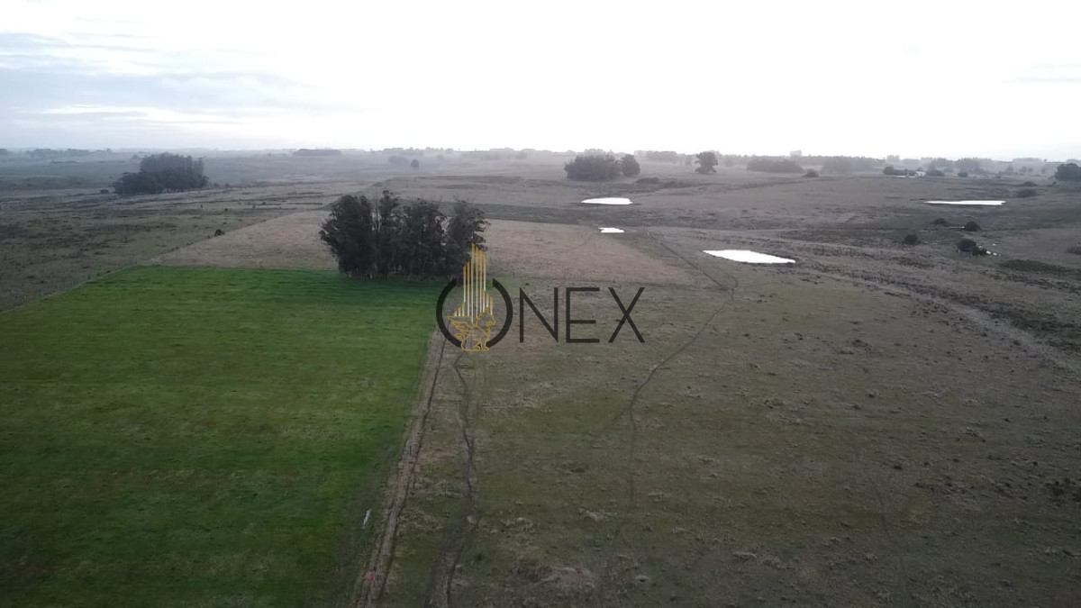 Chacra ID.3072 - Venta de Chacra de 5 Ha en Jose Ignacio