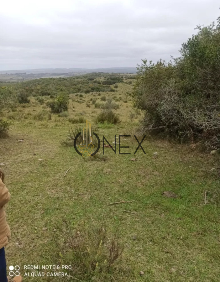 Chacra ID.1155 - Oportunidad Venta de chacra de 7.8 Hectáreas en Las Cañas Maldonado