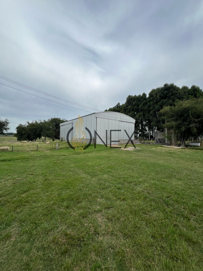 Chacra ID.886 - CAMPO DE 18 HAS EN VENTA 100% EXPLOTABLE 