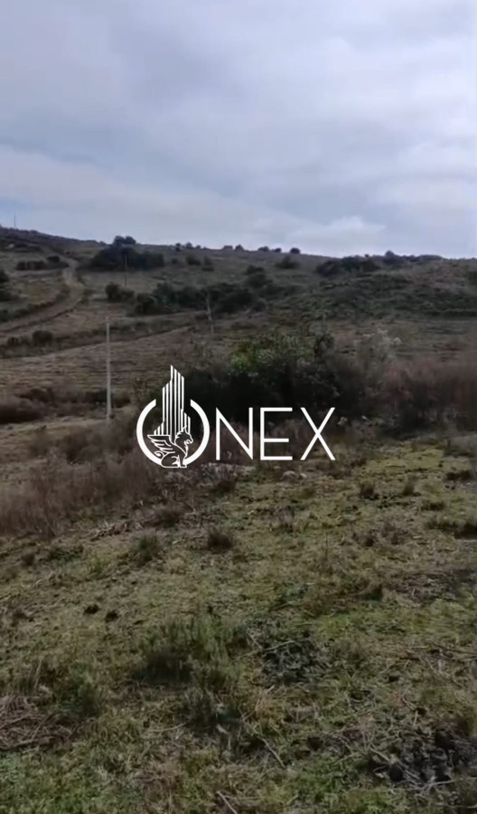 Chacra ID.4550 - SE VENDE CHACRA DE 5 HA EN LAVALLEJA