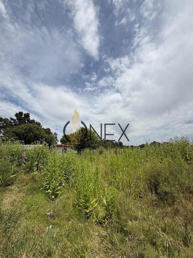 Chacra ID.3592 - Chacra en Salinas, Canelones. 