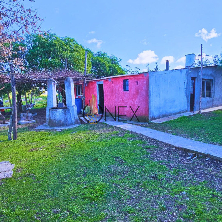 Chacra ID.2254 - VENTA DE CHACRA EN CANELON CHICO