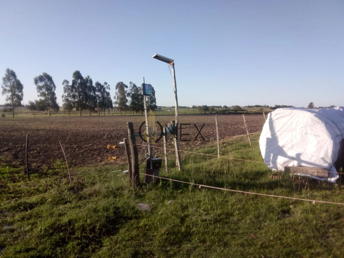 Chacra ID.3130 - Oportunidad venta de Chacra con casa tajamar árboles  galpón en Canelones 