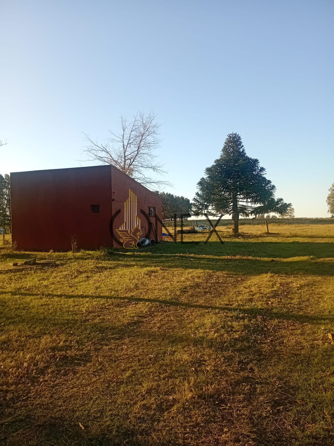Chacra ID.2593 - Venta de Chacra de 7 Ha en Zanja de Chavez, Maldonado