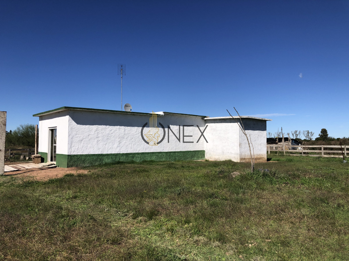 Chacra ID.2140 -  Se vende Chacra de 4ha más casa, sobre ruta 107. Canelón Chico.