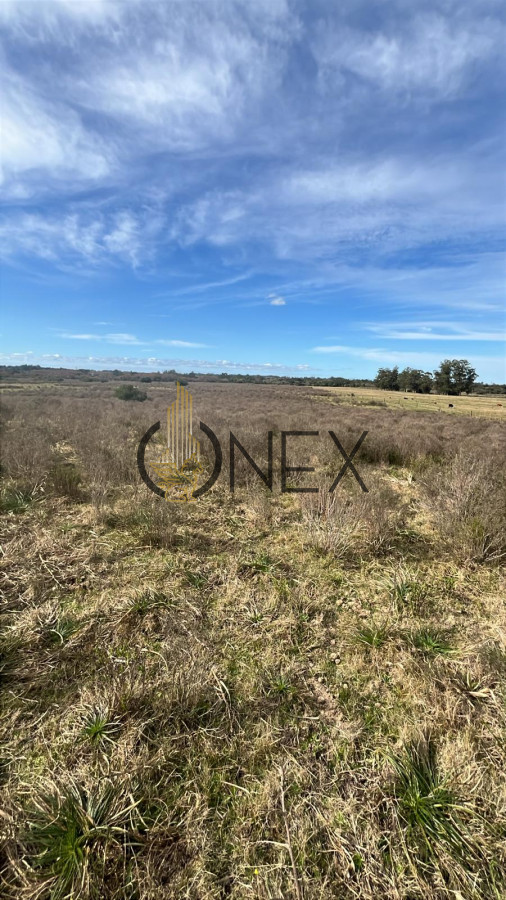 Chacra ID.2923 - 
