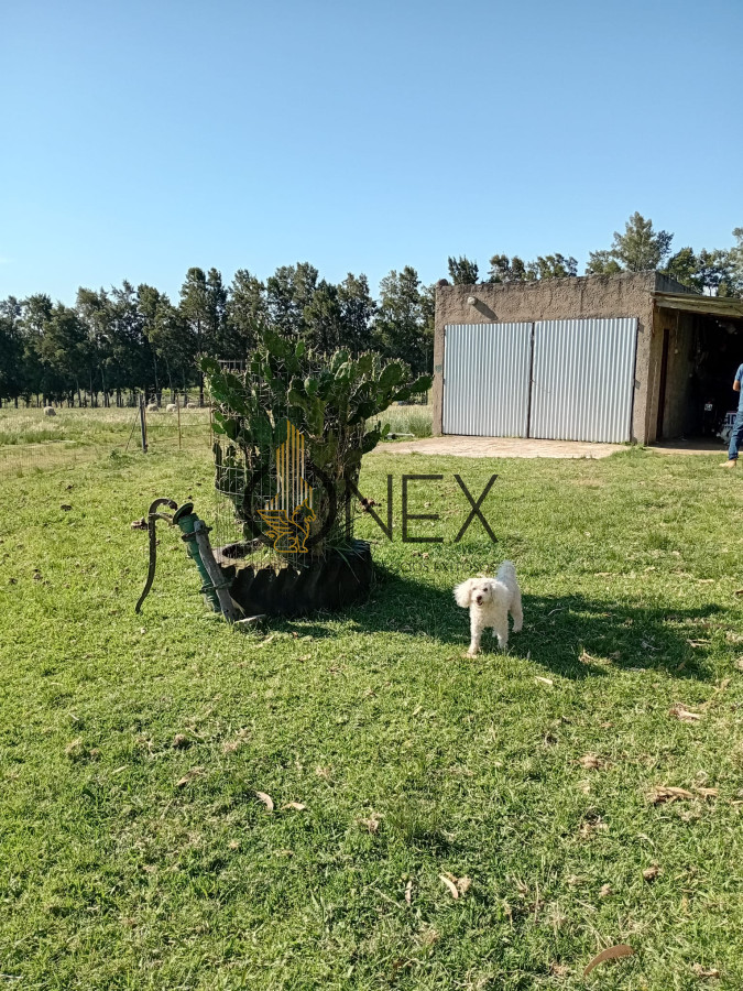 Chacra ID.3581 - Venta Chacra  8 Has con casa en San Carlos