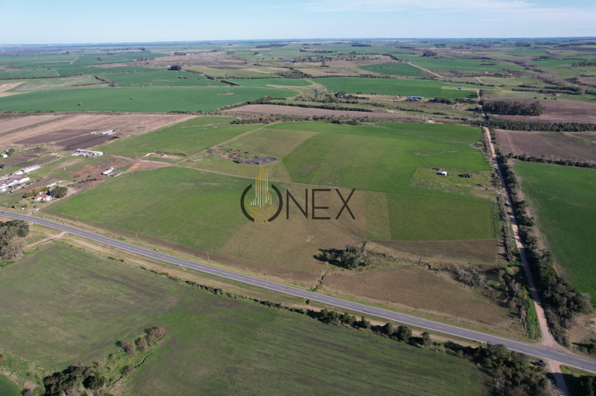 Chacra ID.1538 - CHACRA DE 5 HECTAREAS EN VENTA FRAY BENTOS 