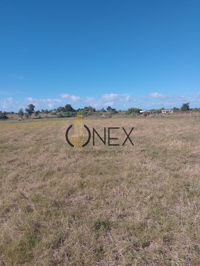 Chacra ID.4268 - ONEX VENDE CHACRA DE 3 HEC Y MEDIAS