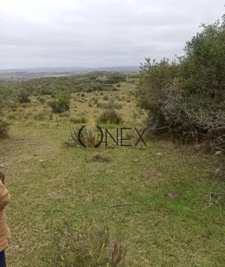 Chacra ID.1155 - Oportunidad Venta de chacra de 7.8 Hectáreas en Las Cañas Maldonado