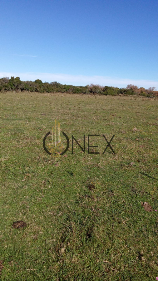 Chacra ID.2283 - Venta Chacra 