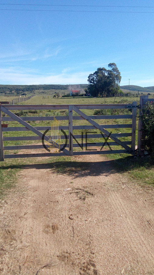 Chacra ID.2687 - Venta de Chacra 5Ha en Abra Perdomo
