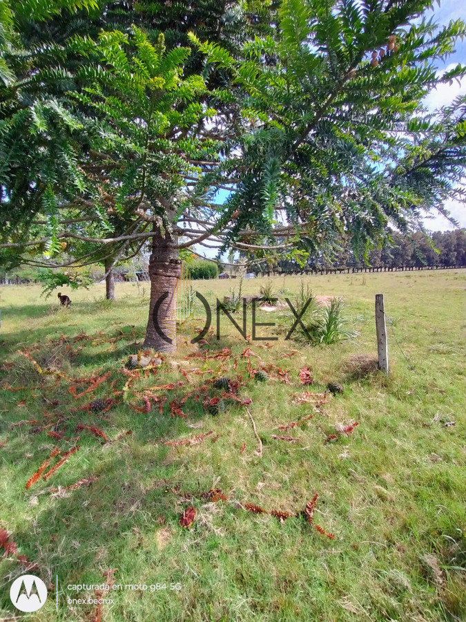 Chacra ID.790 - Venta de Chacra 7 hectáreas con casa en Maldonado