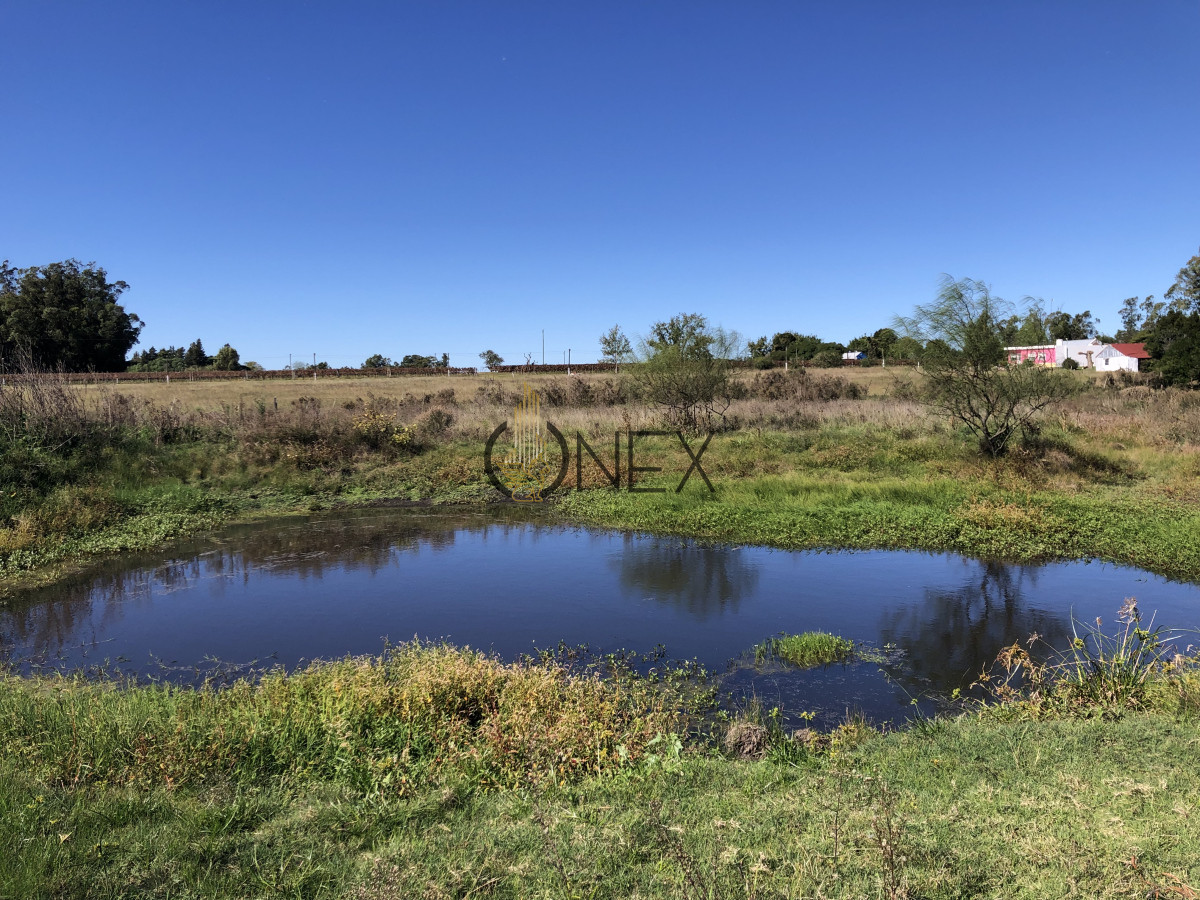 Chacra ID.2140 -  Se vende Chacra de 4ha más casa, sobre ruta 107. Canelón Chico.