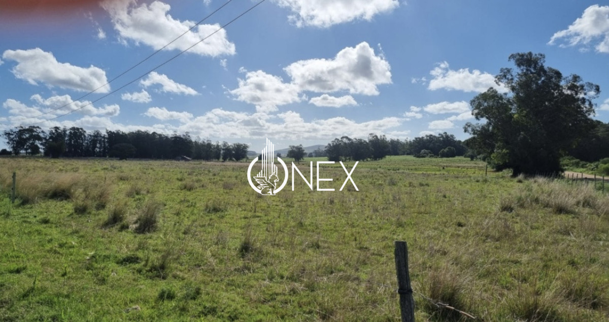 Chacra ID.4193 - Se vende Chacra en 19 de Abril , Rocha 