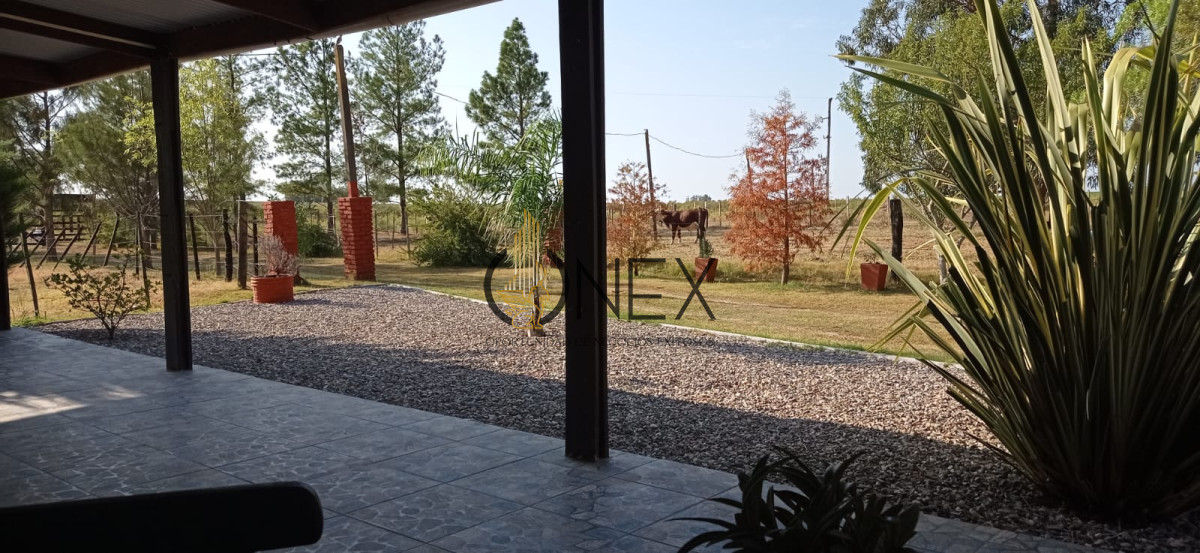 Chacra ID.3130 - Oportunidad venta de Chacra con casa tajamar árboles  galpón en Canelones 